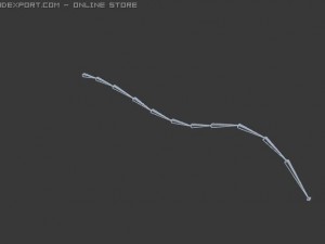 kite rigged 3D Model