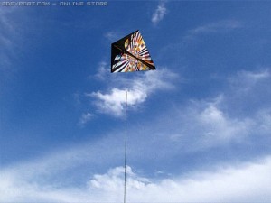 kite 2 3D Model