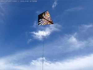 kite 2 3D Model