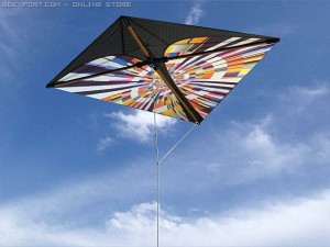 kite 2 3D Model