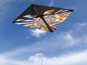 kite 2 3D Model