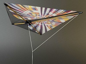 kite 2 3D Model
