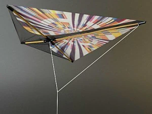 kite 2 3D Model