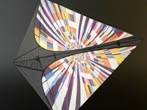 kite 2 3D Model