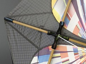 kite 2 3D Model