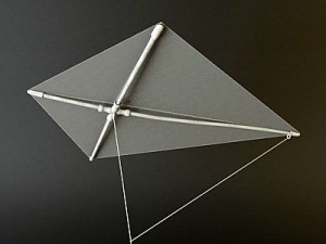 kite 2 3D Model