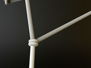 kite 2 3D Model