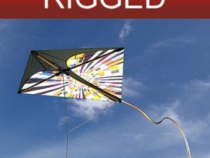 kite rigged 2 3D Model
