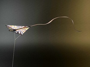 kite rigged 2 3D Модель