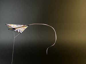 kite rigged 2 3D Модель