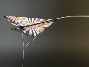 kite rigged 2 3D Модель
