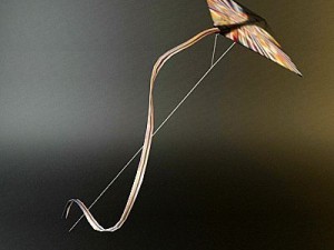 kite rigged 2 3D Модель