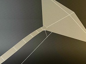kite rigged 2 3D Модель