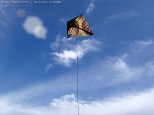 kite 3 3D मॉडल