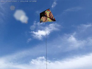 kite 3 3D Model
