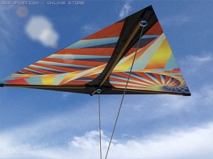 kite 3 3D मॉडल