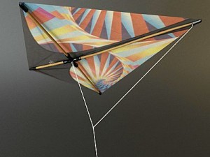 kite 3 3D मॉडल