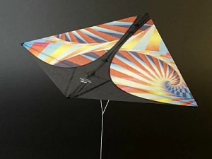 kite 3 3D Model
