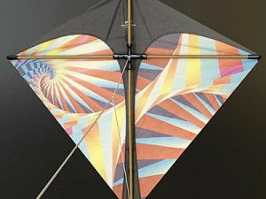 kite 3 3D Model