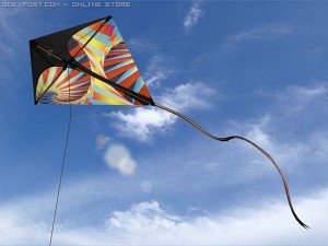 kite rigged 3 3D 模型