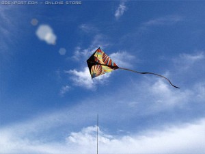kite rigged 3 3D 模型