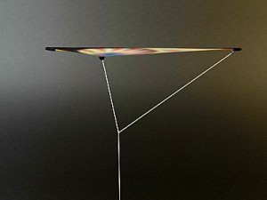 kite rigged 3 3D 模型