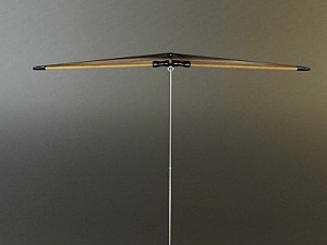 kite rigged 3 3D 模型