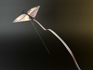 kite rigged 3 3D 模型