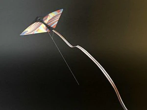 kite rigged 3 3D Model