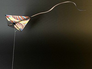 kite rigged 3 3D 模型