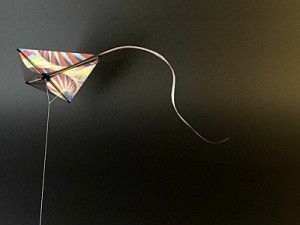 kite rigged 3 3D 模型