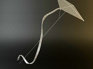 kite rigged 3 3D 模型