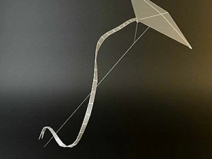 kite rigged 3 3D Model
