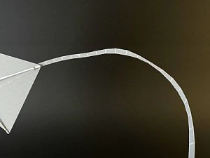 kite rigged 3 3D Model