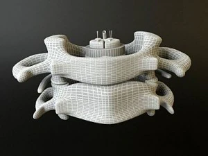 vertebrae c1 c2 cervical spine bones 3D Model