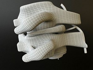 vertebrae c1 c2 cervical spine bones Model 3D
