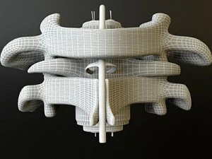 vertebrae c1 c2 cervical spine bones 3D Model