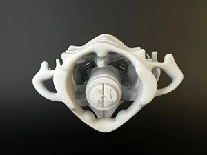 cervical spine human 3D Model