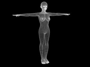 adult female model Modèle 3D