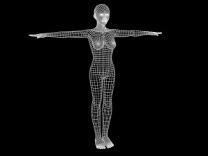 adult female model 3D Model