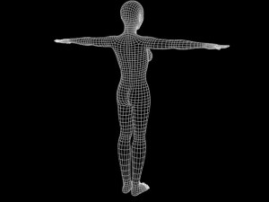 adult female model Modèle 3D