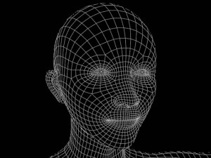 adult female model Modèle 3D