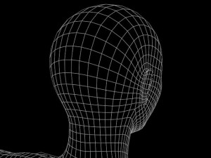adult female model Modèle 3D