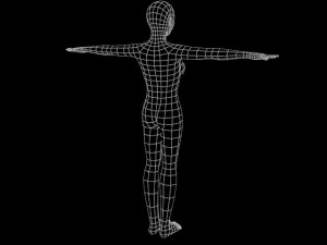 adult female model Modèle 3D