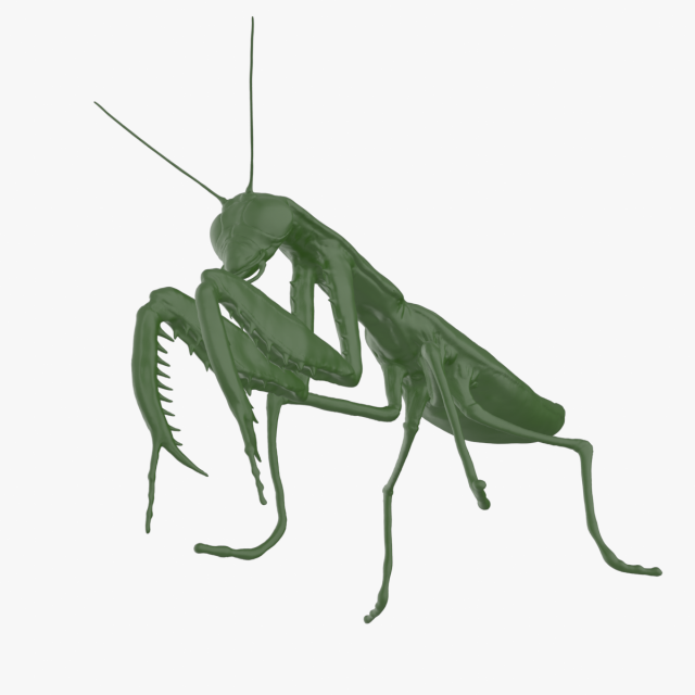 mantis 3D 模型 .c4d .max .obj .3ds .fbx .stl .blend 