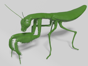 mantis 3D 模型