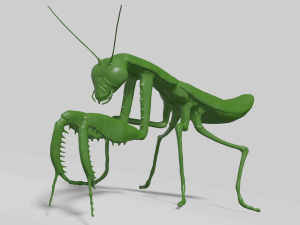 mantis 3D 模型