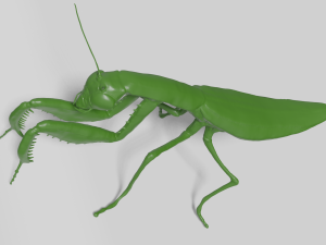 mantis 3D 模型
