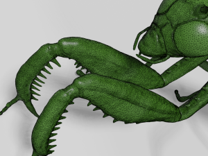 mantis 3D 模型