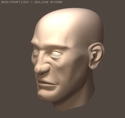 head 3D Model .c4d .max .obj .3ds .fbx .stl .blend 